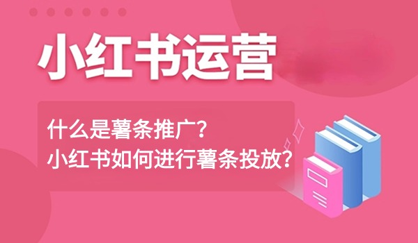 什么是薯条推广？小红书如何进行薯条投放？