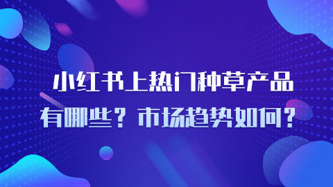 小红书上热门种草产品有哪些？市场趋势如何？