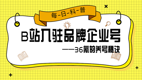 B站入驻品牌企业号——36氪的养号秘诀